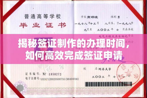 巨野揭秘签证制作的办理时间，如何高效完成签证申请